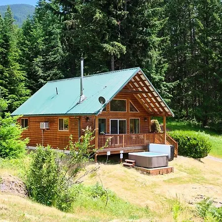 Mountain View Cabin, Hot Tub At Mt Rainier Packwood Extérieur photo