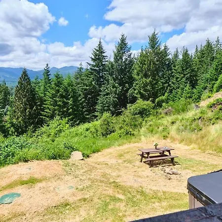 Mountain View Cabin, Hot Tub At Mt Rainier Packwood Extérieur photo