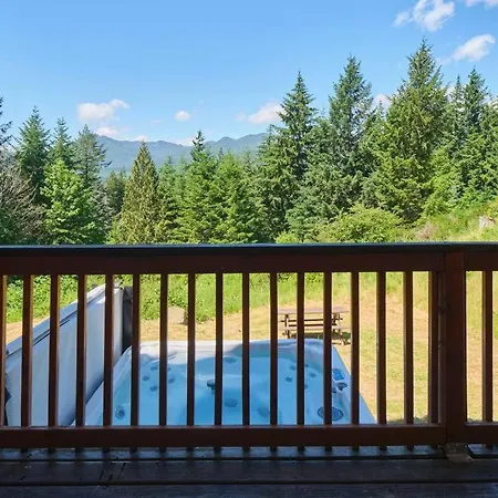 Mountain View Cabin, Hot Tub At Mt Rainier Packwood Extérieur photo