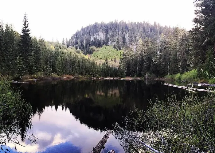 Mountain View Cabin, Hot Tub At Mt Rainier