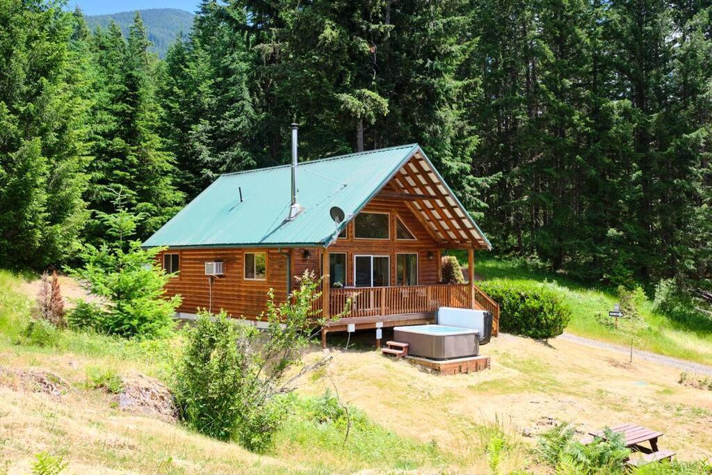 Hébergement de vacances Mountain View Cabin, Hot Tub At Mt Rainier