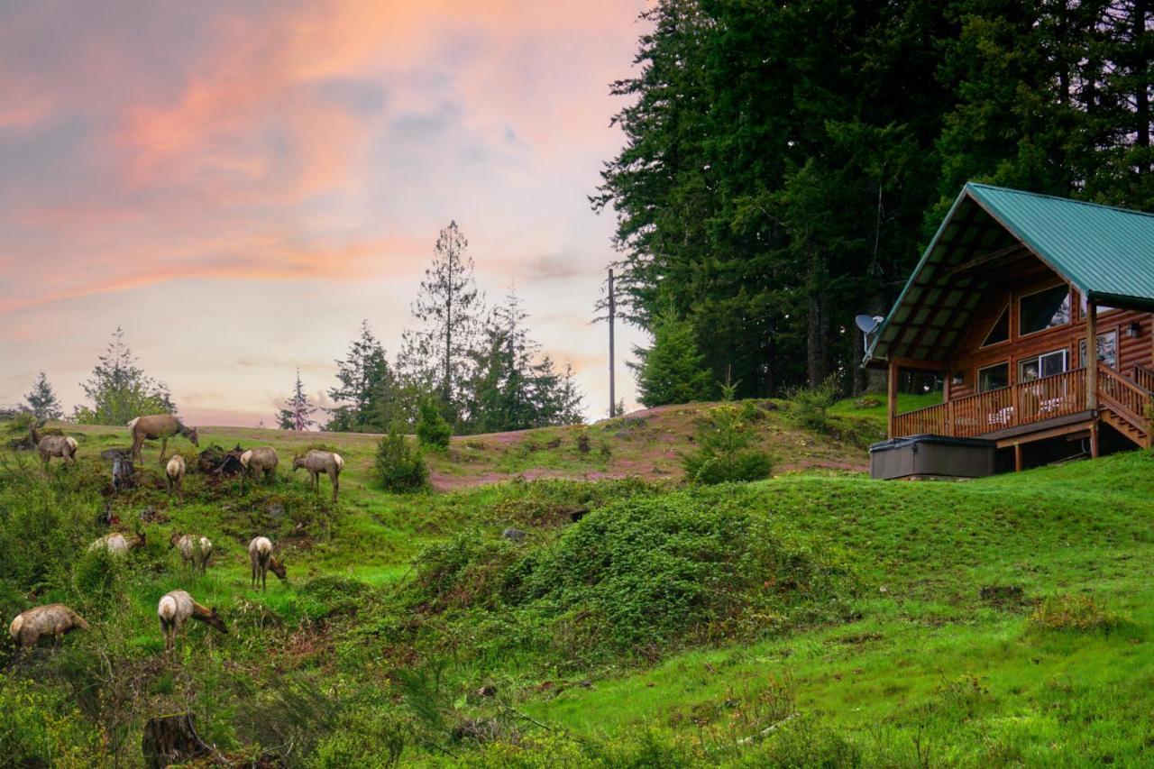Mountain View Cabin, Hot Tub At Mt Rainier Hébergement de vacances *