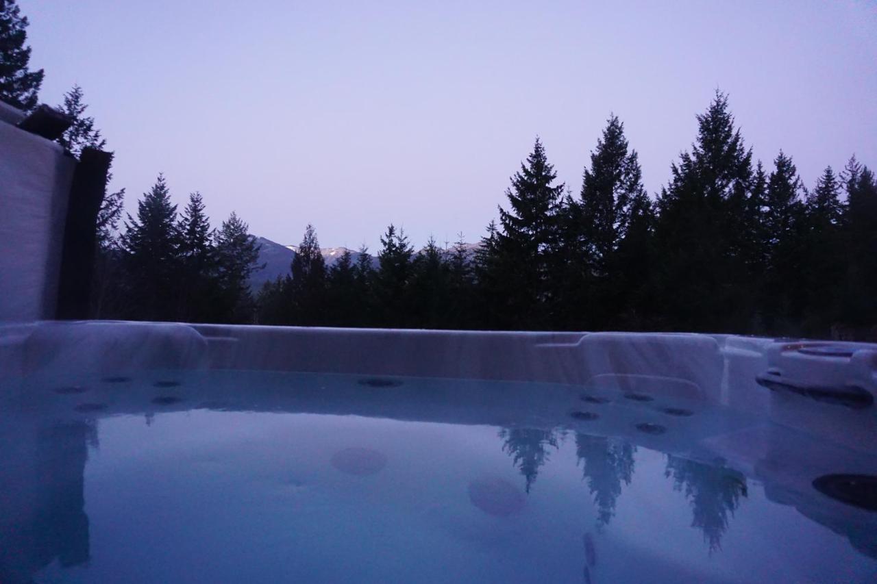 Mountain View Cabin, Hot Tub At Mt Rainier Hébergement de vacances *